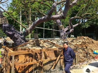 8米x8米鋼結構用鋼(8米x8米鋼結構用鋼的選擇標準和計算方法) 建筑施工圖施工 第4張 8米x8米鋼結構用鋼(8米x8米鋼結構用鋼的選擇標準和計算方法) 建筑施工圖施工 第4張