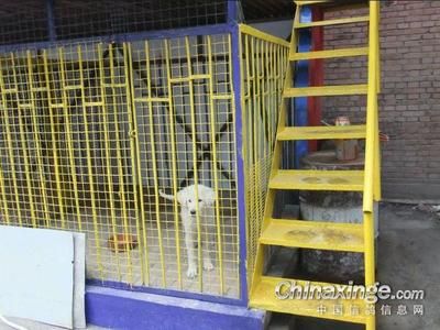 鋼結構平房多少錢一平(鋼結構平房價位與地理位置的關系) 北京加固施工 第4張 鋼結構平房多少錢一平(鋼結構平房價位與地理位置的關系) 北京加固施工 第4張