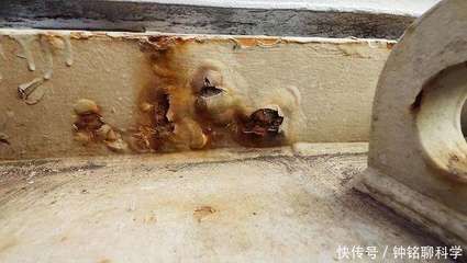 鋼結構除銹噴漆人工費(鋼結構除銹噴漆的人工費) 鋼結構門式鋼架施工 第5張 鋼結構除銹噴漆人工費(鋼結構除銹噴漆的人工費) 鋼結構門式鋼架施工 第5張