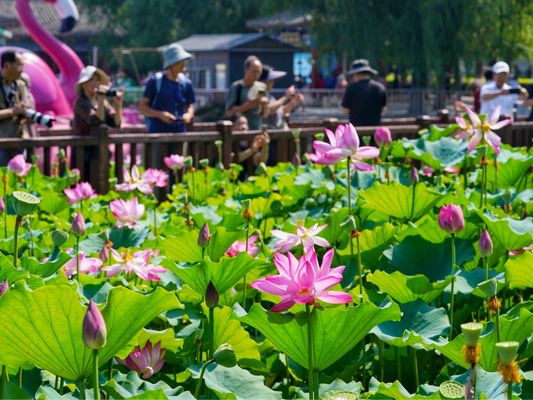 北京市危舊樓房加固規定(北京市危舊樓房加固技術標準查詢危舊樓房加固流程圖解) 鋼結構蹦極設計 第1張 北京市危舊樓房加固規定(北京市危舊樓房加固技術標準查詢危舊樓房加固流程圖解) 鋼結構蹦極設計 第1張
