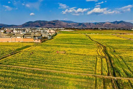 天津橋梁設計院地址在哪里（天津橋梁設計院位于哪個區域天津橋梁設計院的辦公時間） 北京鋼結構設計問答