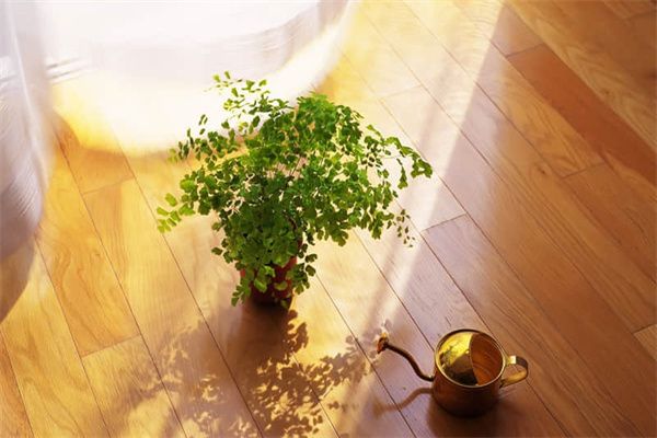 體育館方案設(shè)計(jì)說(shuō)明怎么寫范文（體育館的設(shè)計(jì)理念是什么體育館的設(shè)計(jì)理念是什么）