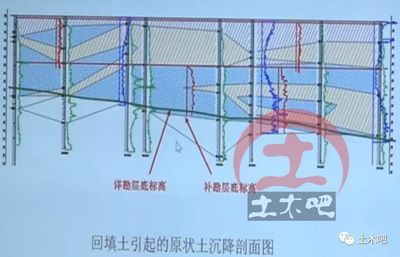 幼兒園綠化設(shè)計(jì)圖片（幼兒園的綠化設(shè)計(jì)中，植物的選擇對(duì)孩子們的健康和情緒有何影響？）