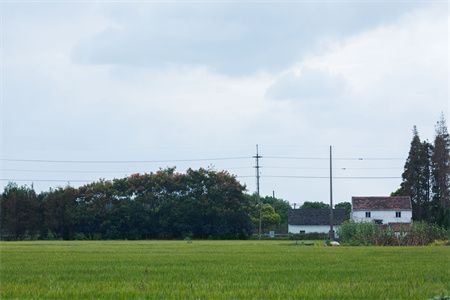 房屋地基下沉有什么危害和后果(地基下沉會對房屋結構產生多方面的影響) 結構機械鋼結構施工 第3張 房屋地基下沉有什么危害和后果(地基下沉會對房屋結構產生多方面的影響) 結構機械鋼結構施工 第3張