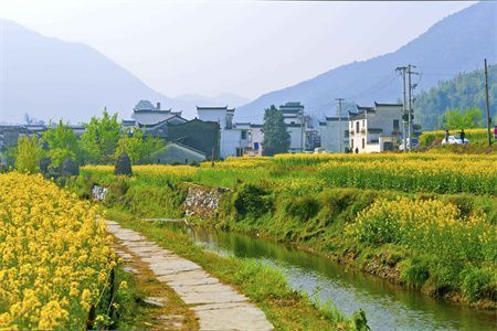 國家對空心板樓房拆除政策 鋼結構蹦極施工 第5張 國家對空心板樓房拆除政策 鋼結構蹦極施工 第5張
