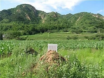 北京土地基準價格是多少 結構砌體施工 第4張 北京土地基準價格是多少 結構砌體施工 第4張