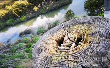 北京土地基準價格是多少 結構砌體施工 第5張 北京土地基準價格是多少 結構砌體施工 第5張