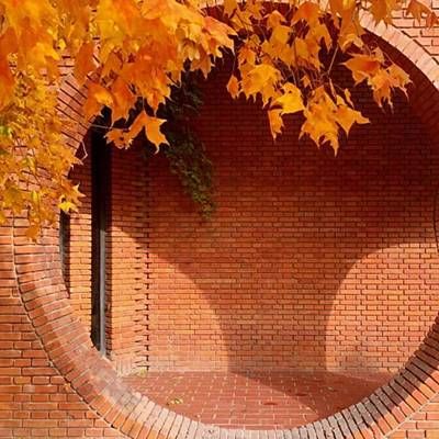 2020年北京紅磚價格（2020年北京紅磚價格對比分析） 建筑消防設計 第3張