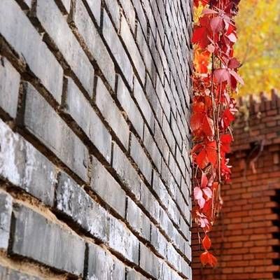 2020年北京紅磚價格（2020年北京紅磚價格對比分析） 建筑消防設計 第5張