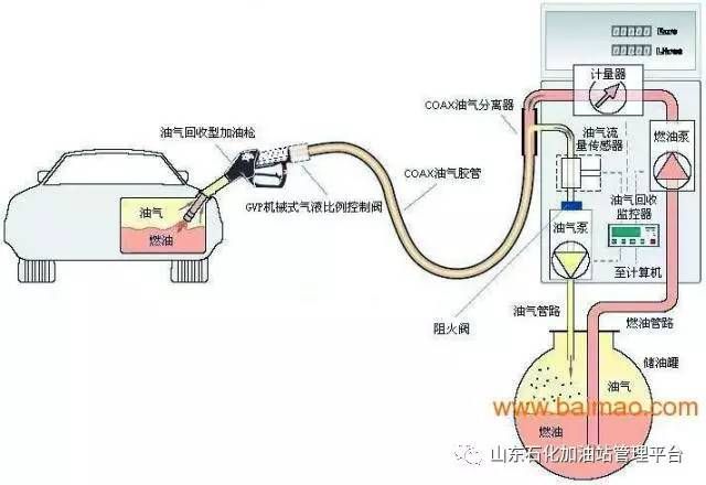 學(xué)校的設(shè)計使用年限是多少（學(xué)校的建筑設(shè)計使用年限通常是多久學(xué)校的設(shè)計使用年限是多久）