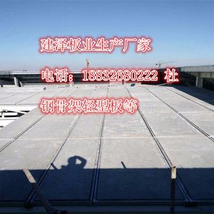 輕型樓板價格(廊坊地區的鋼骨架輕型樓板價格) 全國鋼結構廠 第5張 輕型樓板價格(廊坊地區的鋼骨架輕型樓板價格) 全國鋼結構廠 第5張