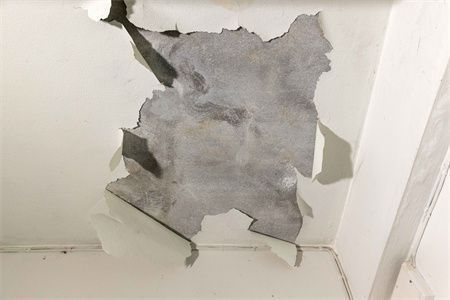 水泥樓板多少錢一塊(水泥樓板價格受多種因素影響) 全國鋼結構廠 第5張 水泥樓板多少錢一塊(水泥樓板價格受多種因素影響) 全國鋼結構廠 第5張