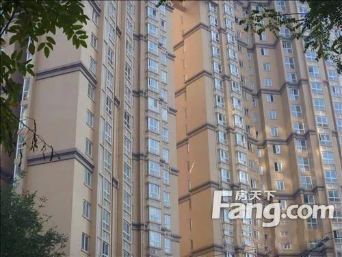 北京板樓和塔樓一樣嗎 結構框架設計 第4張 北京板樓和塔樓一樣嗎 結構框架設計 第4張