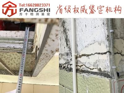 專門檢測(cè)承重墻的機(jī)構(gòu)有哪些(專門檢測(cè)承重墻的機(jī)構(gòu)) 結(jié)構(gòu)地下室設(shè)計(jì) 第2張 專門檢測(cè)承重墻的機(jī)構(gòu)有哪些(專門檢測(cè)承重墻的機(jī)構(gòu)) 結(jié)構(gòu)地下室設(shè)計(jì) 第2張
