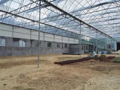 鋼結構餐廳造價 結構框架設計 第2張