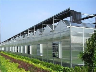 鋼結構餐廳造價 結構框架設計 第1張