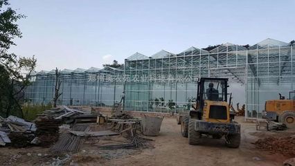 鋼結構餐廳造價 結構框架設計 第5張