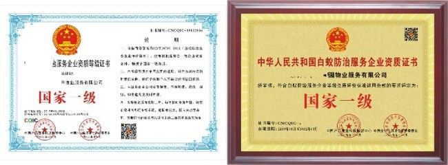 鋼結構資質怎么辦理需要多少錢 北京網架設計 第4張 鋼結構資質怎么辦理需要多少錢 北京網架設計 第4張