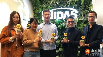 邁達(dá)斯是做什么的 結(jié)構(gòu)橋梁鋼結(jié)構(gòu)設(shè)計(jì) 第4張 邁達(dá)斯是做什么的 結(jié)構(gòu)橋梁鋼結(jié)構(gòu)設(shè)計(jì) 第4張