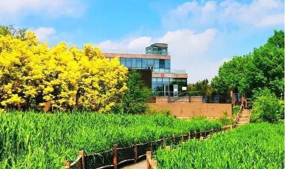 體育館設計圖及效果圖大全圖片（體育館設計圖和效果圖大全） 北京鋼結構設計問答