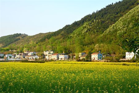 基礎整體下沉十幾公分怎么辦（基礎整體下沉怎么處理）