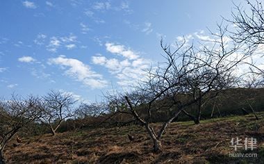 樓房地基下沉怎么賠償（樓房地基下沉的賠償標準是固定的）
