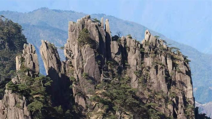 房屋加固公司資質(zhì)查詢方法(如何查詢加固公司資質(zhì)) 鋼結(jié)構(gòu)網(wǎng)架施工 第3張 房屋加固公司資質(zhì)查詢方法(如何查詢加固公司資質(zhì)) 鋼結(jié)構(gòu)網(wǎng)架施工 第3張