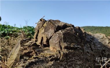 土地使用權攤銷年限如何確定？（土地使用權攤銷年限是多少土地使用權的攤銷年限是多少） 鋼結構網架施工 第5張