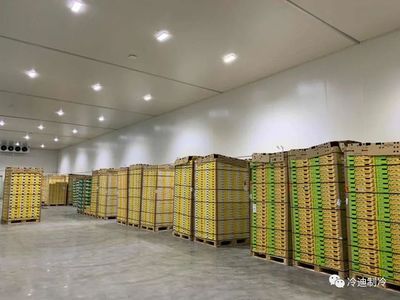 冷庫材料多少錢一平方（冷庫材料每平方價格受到多種因素的影響）