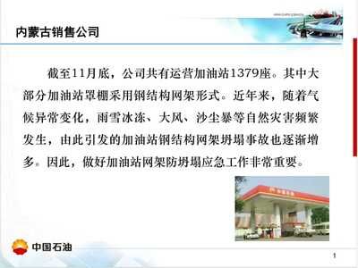 加油站網架坍塌應急預案（加油站網架坍塌事故應急預案）