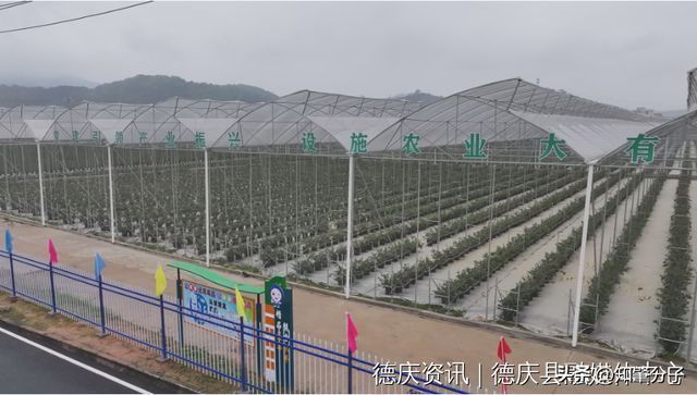 廠房投資后的利潤(rùn)增長(zhǎng)案例（8萬(wàn)元投資小廠，輕松實(shí)現(xiàn)利潤(rùn)回報(bào)）