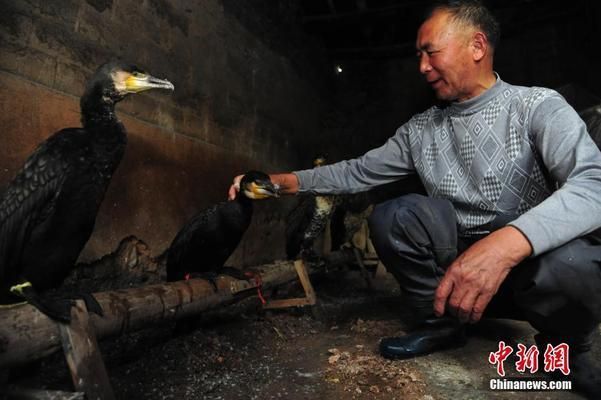 北京市拆墻整治文件(關(guān)于北京市拆墻整治的公告) 北京鋼結(jié)構(gòu)設(shè)計(jì) 第2張 北京市拆墻整治文件(關(guān)于北京市拆墻整治的公告) 北京鋼結(jié)構(gòu)設(shè)計(jì) 第2張