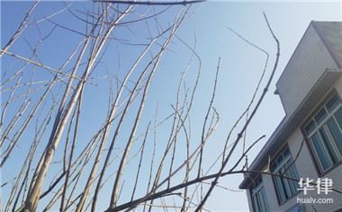 廠房租賃合同常見(jiàn)陷阱（400-818河源廠房租賃合同陷阱條款教你如何防范） 北京鋼結(jié)構(gòu)設(shè)計(jì) 第9張