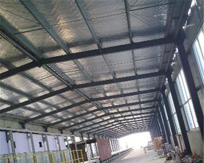 新標準鋼結構防火涂料施工(鋼結構防火涂料施工常見問題及解決常見問題及解決) 鋼結構蹦極設計 第2張 新標準鋼結構防火涂料施工(鋼結構防火涂料施工常見問題及解決常見問題及解決) 鋼結構蹦極設計 第2張