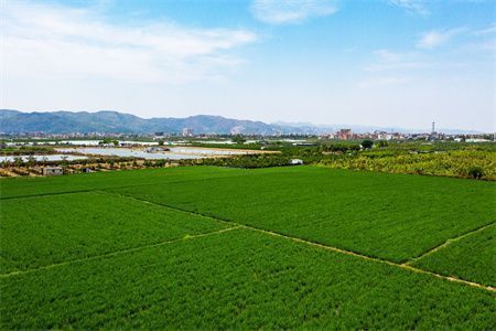 房頂加高有什么講究（屋頂加高合法審批流程詳解屋頂加高風(fēng)水講究有哪些） 建筑施工圖設(shè)計 第2張