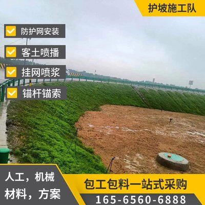 掛網噴漿護坡施工隊組成(掛網噴漿護坡施工技術) 鋼結構網架設計 第3張 掛網噴漿護坡施工隊組成(掛網噴漿護坡施工技術) 鋼結構網架設計 第3張