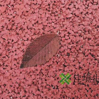 透水混凝土罩面漆價格范圍（彩色路面噴涂劑報價） 建筑效果圖設計 第2張