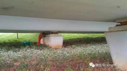 鋼板加固部位防銹技巧（汽車鋼板應(yīng)該存放在干燥的環(huán)境中，鋼板防銹效果如何） 建筑效果圖設(shè)計 第1張