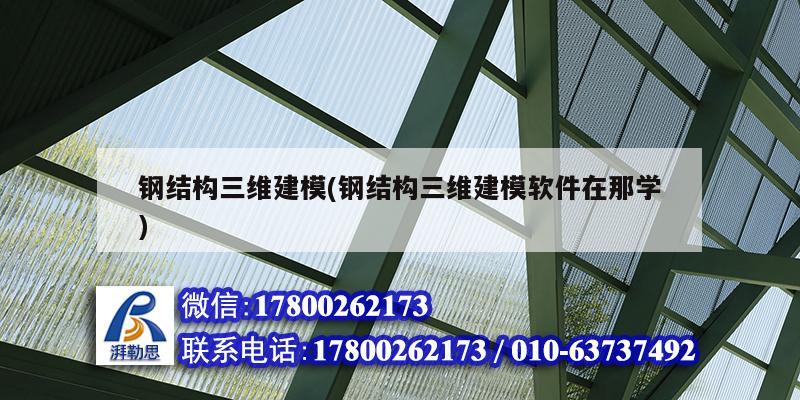鋼結(jié)構三維建模(鋼結(jié)構三維建模軟件在那學)