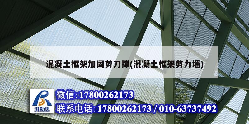 混凝土框架加固剪刀撐(混凝土框架剪力墻) 結(jié)構(gòu)污水處理池施工