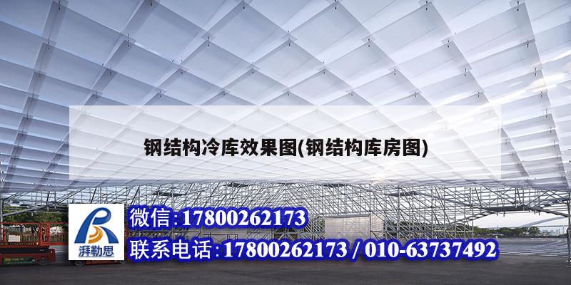 鋼結(jié)構(gòu)冷庫效果圖(鋼結(jié)構(gòu)庫房圖)