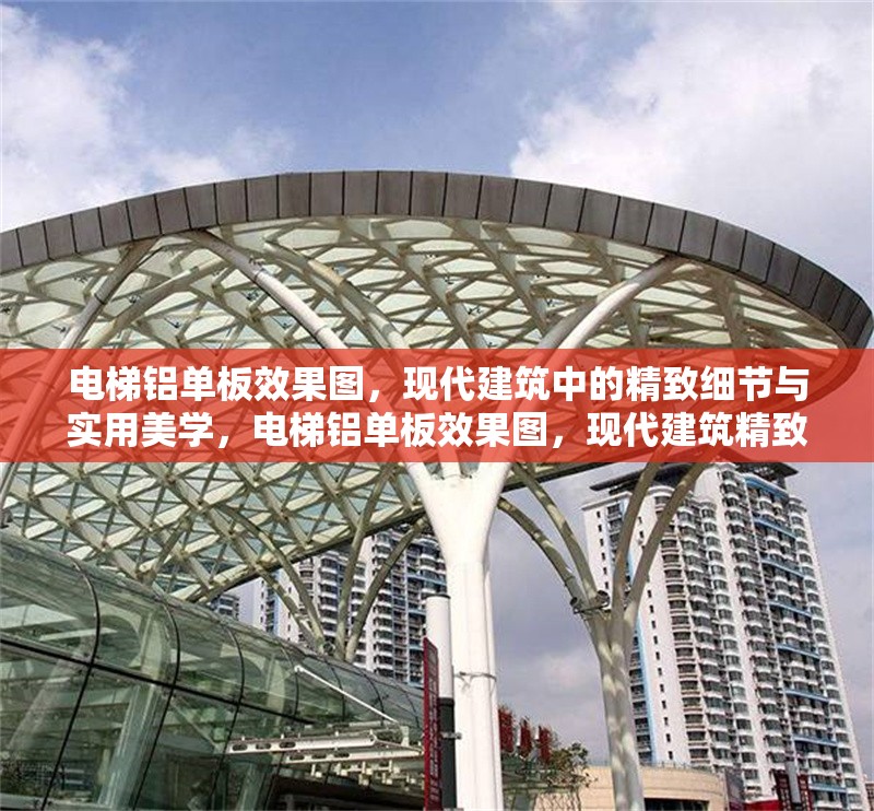 電梯鋁單板效果圖，現代建筑中的精致細節與實用美學，電梯鋁單板效果圖，現代建筑精致細節與實用美學的