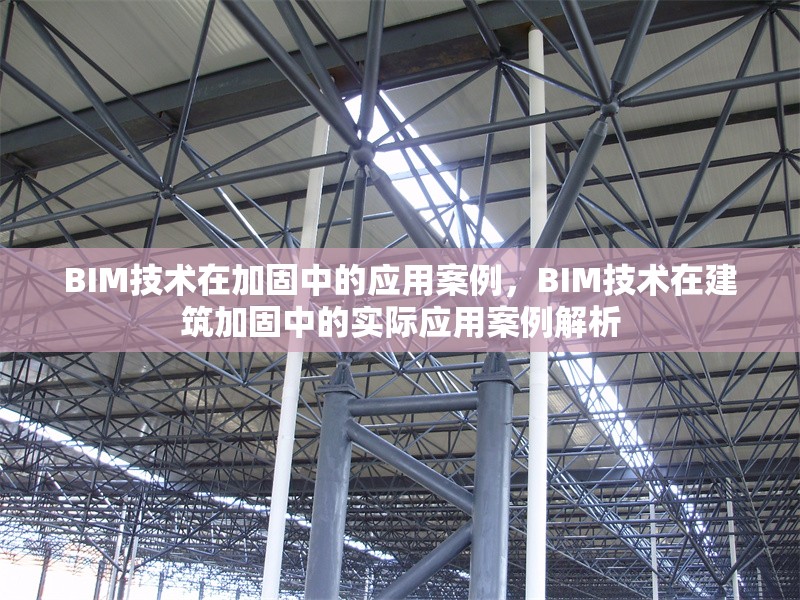 BIM技術(shù)在加固中的應(yīng)用案例，BIM技術(shù)在建筑加固中的實(shí)際應(yīng)用案例解析
