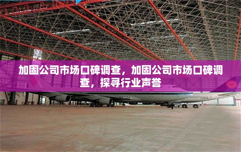加固公司市場口碑調查，加固公司市場口碑調查，探尋行業聲譽 行業新聞 第1張