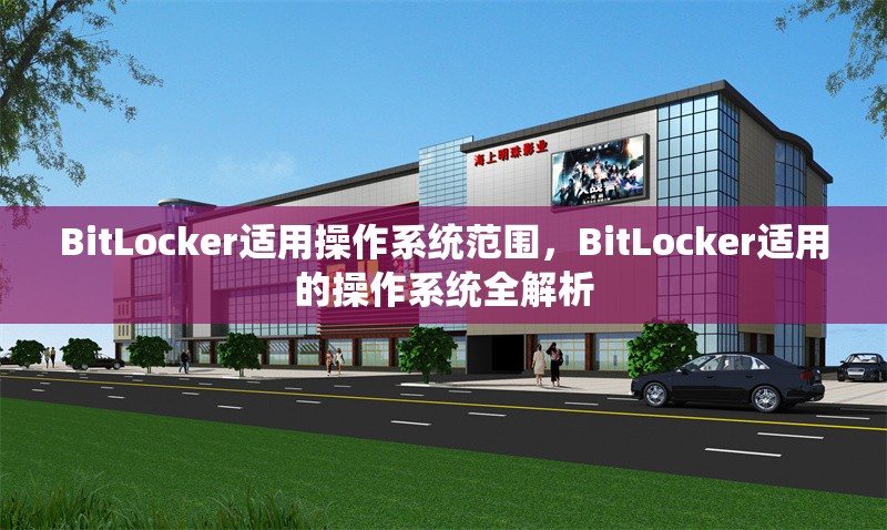 BitLocker適用操作系統范圍，BitLocker適用的操作系統全解析