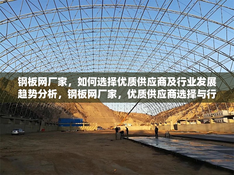 鋼板網廠家，如何選擇優質供應商及行業發展趨勢分析，鋼板網廠家，優質供應商選擇與行業
