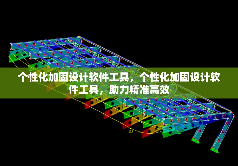 個性化加固設計軟件工具，個性化加固設計軟件工具，助力精準高效