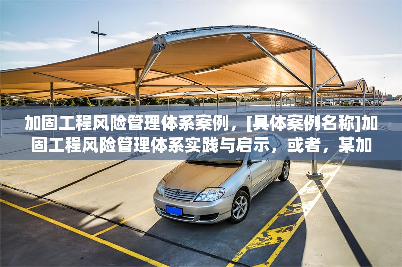 加固工程風(fēng)險(xiǎn)管理體系案例，[具體案例名稱]加固工程風(fēng)險(xiǎn)管理體系實(shí)踐與啟示，或者，某加固工程風(fēng)險(xiǎn)管理體系構(gòu)建及應(yīng)用案例剖析，或者