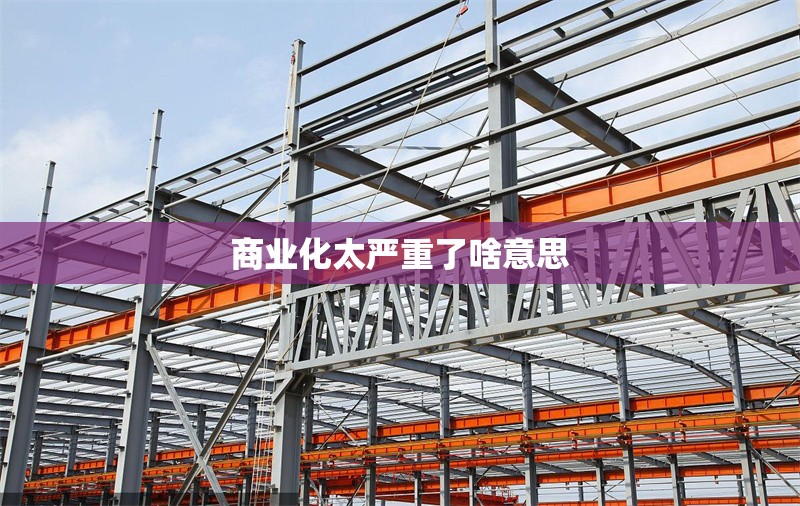 商業化太嚴重了啥意思 行業新聞 第1張