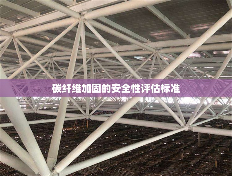 碳纖維加固的安全性評估標準